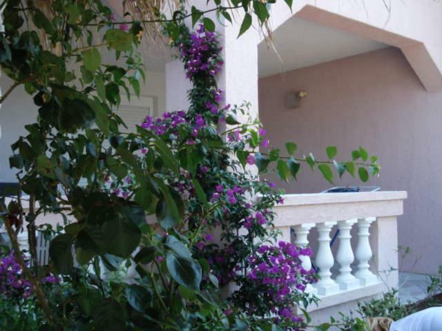Apartments Mirjana - Стара-Новаля Экстерьер фото